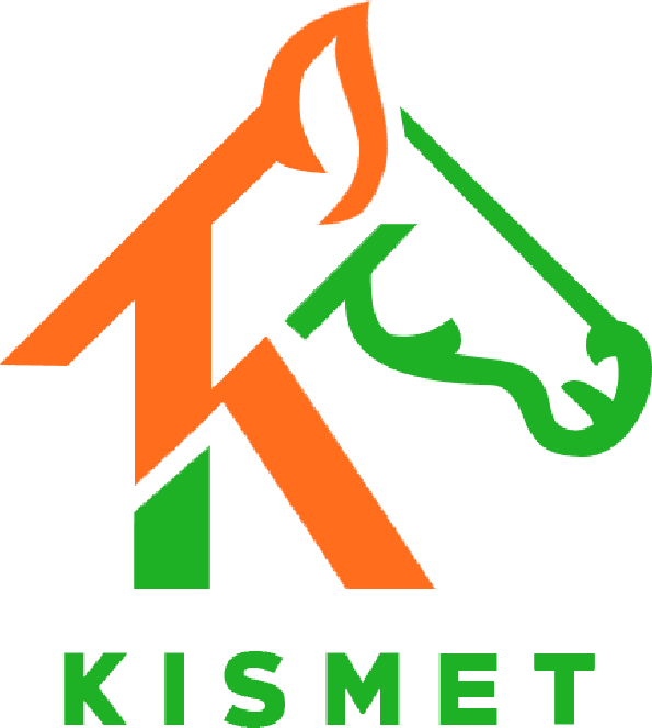 Kismet